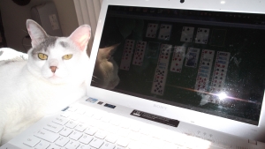 The King Plays Solitaire